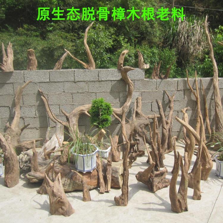 原生态脱骨红香樟木根料,风化木根雕 手工艺品木料 雕刻毛料摆件