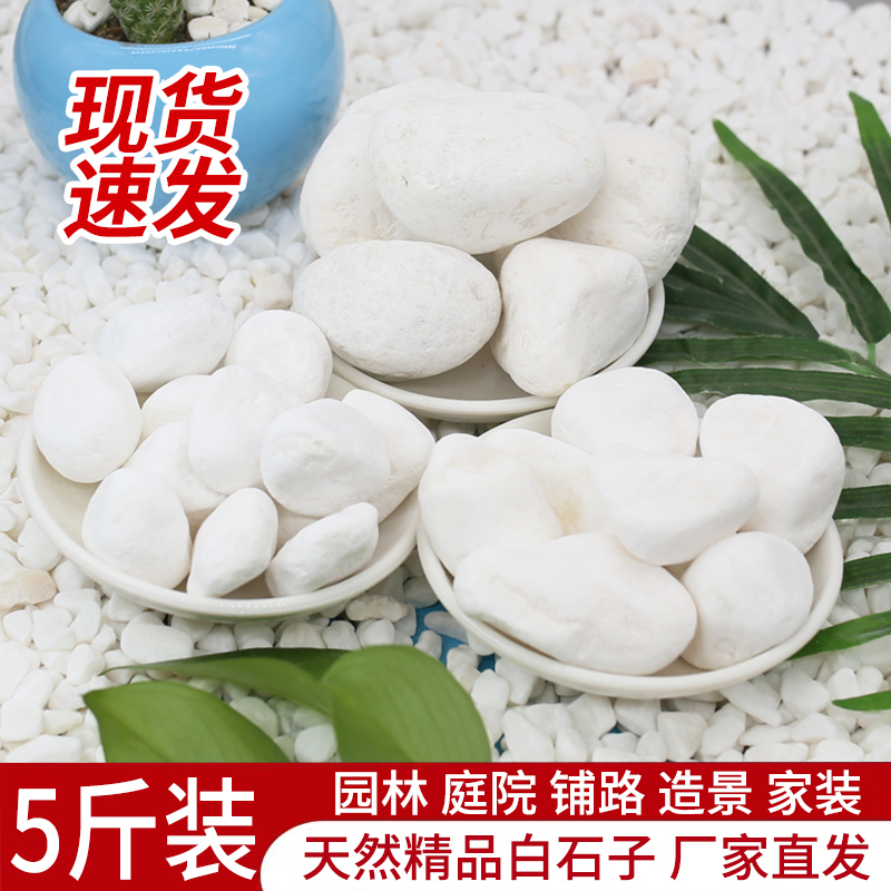 5斤装白石子景观石头大小鹅卵石庭院铺路铺地阳台装饰花园造景