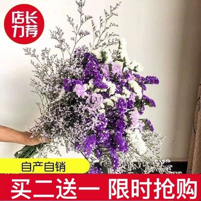 云南鲜花干花勿忘我情人草组合花束客厅卧室装饰插花家居摆设毕业