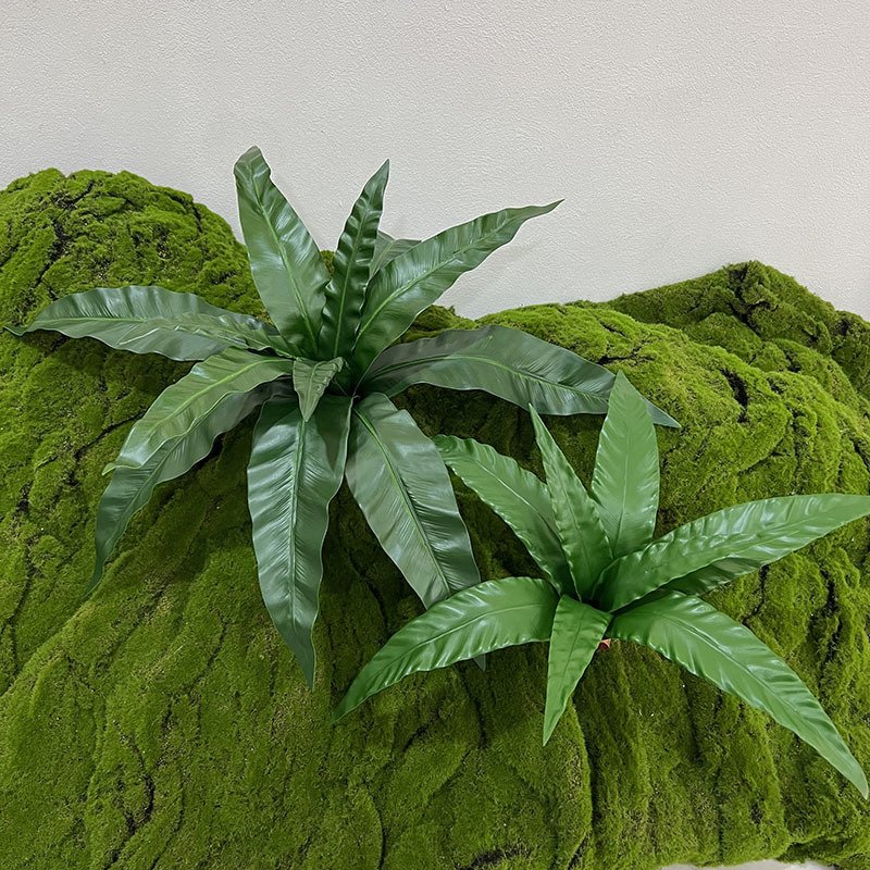 仿真蕨叶鸟巢蕨叶波斯草排草锯齿蕨家居装饰绿植田园造景乌巢蕨