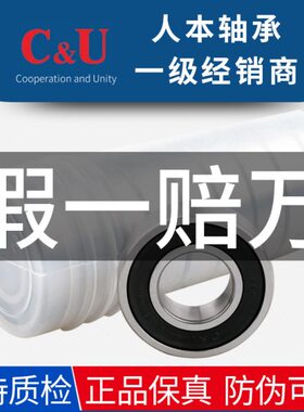 人本轴承10只桶装6007 6008 6009 6010 6011 6012 6013 608RZ RS