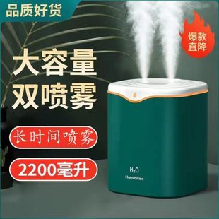 双香薰新款 面大雾量加湿器卧室桌家用 USB静音喷