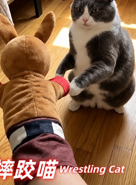 拳击袋鼠毛绒手偶人宠互动逗猫