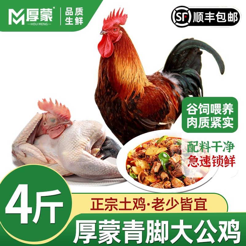 厚蒙散养大公鸡肉质紧实