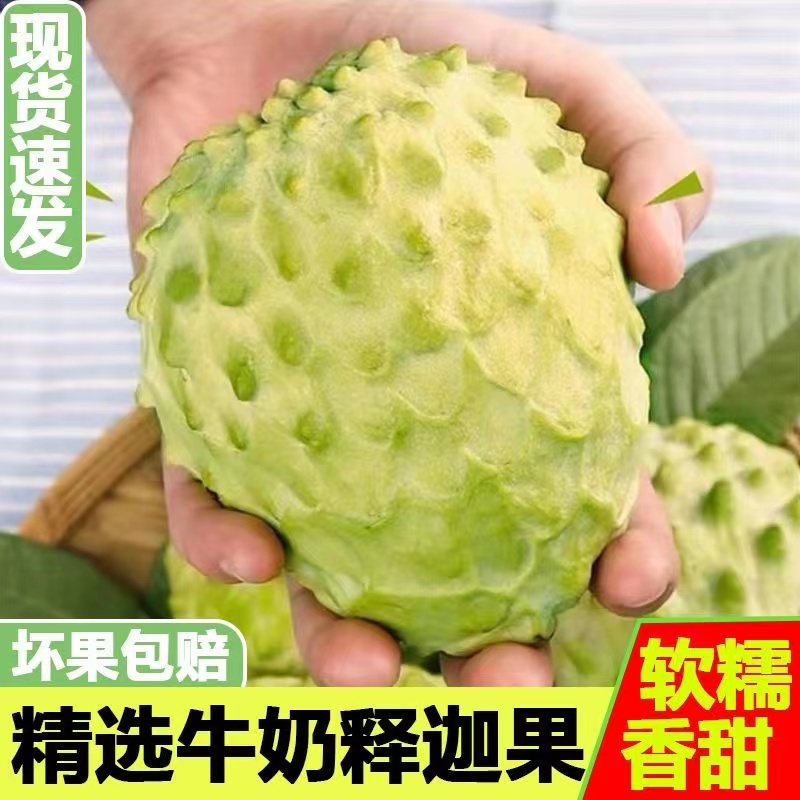 凤梨牛奶释迦果新鲜5斤番荔枝水果应当季现摘大果佛头摩尼果A