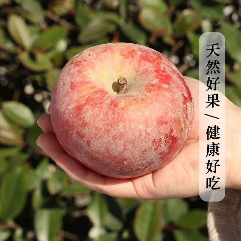 新疆阿克苏苹果特级冰糖心红富士新鲜丑苹果9斤孕妇整箱包邮X