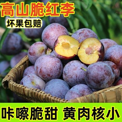 四川正宗脱骨李子小脆红茵红新鲜孕妇空心水果整箱应季水果当季