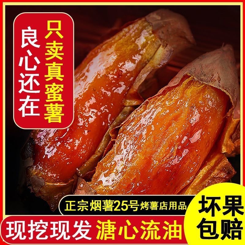山东烟薯25号蜜薯糖心红薯新鲜地瓜10斤沙地新番薯农家自种甜烤X