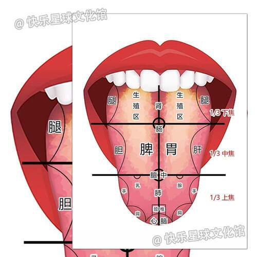 24张中医舌诊辩证贴纸图谱学霸笔记从舌头看体质健康养生知识贴画