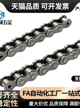 40-链条VMF01 21-4 8 10 20 30 40 50 60 70 80 100 110 120-A