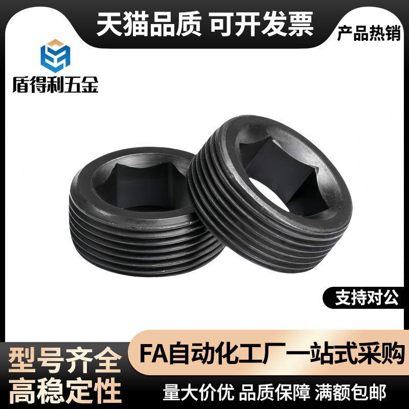 MSWT/MSWTK-J/S/1/2/3/4/5/6/8沉头螺塞