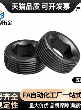 MSWT/MSWTK-J/S/1/2/3/4/5/6/8沉头螺塞