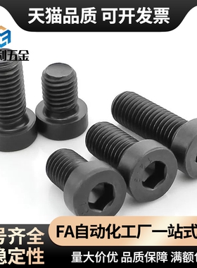 CBS5/6-5/6/8/10/12/16/20/25/30 CBSH5低头内六角螺栓 短头螺丝