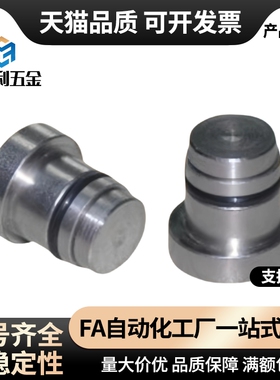 直线导轨定位销 偏心销 LLT3.5 LLT5 LLTS5 ICE11-T5不锈钢LLTA5