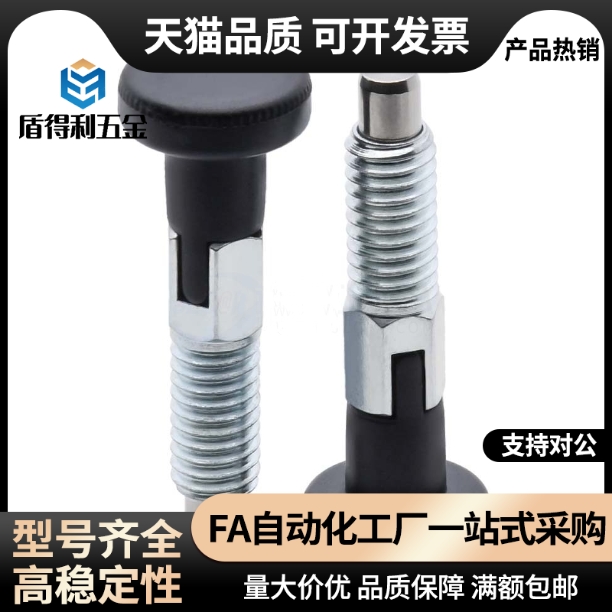 ZAE16-M10/51-M12/56-M16/61-66分度销zam52/01/02/11/12/42/31