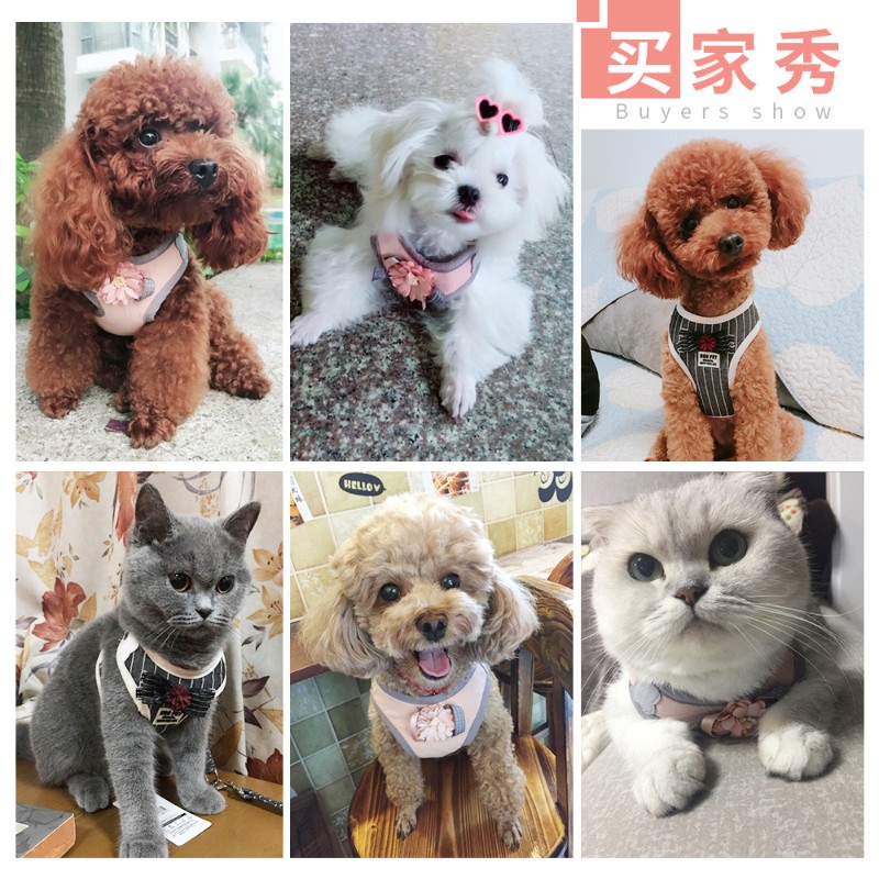 狗狗牵引绳胸背带外出宠物遛狗绳猫咪小型犬幼犬泰迪背心式狗链子
