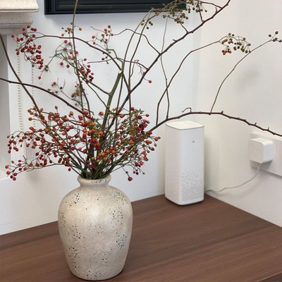 侘寂风粗陶花瓶 客厅插花装饰品 高级感轻奢风家居酒店陶瓶摆件