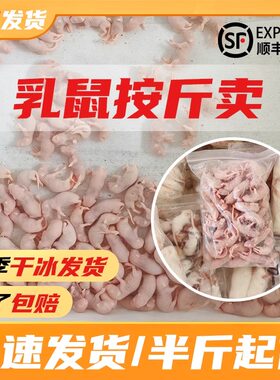 无菌冰冻红皮乳鼠一斤散装粉皮白霜小白鼠喂蛇喂猫角蛙粮爬宠食物
