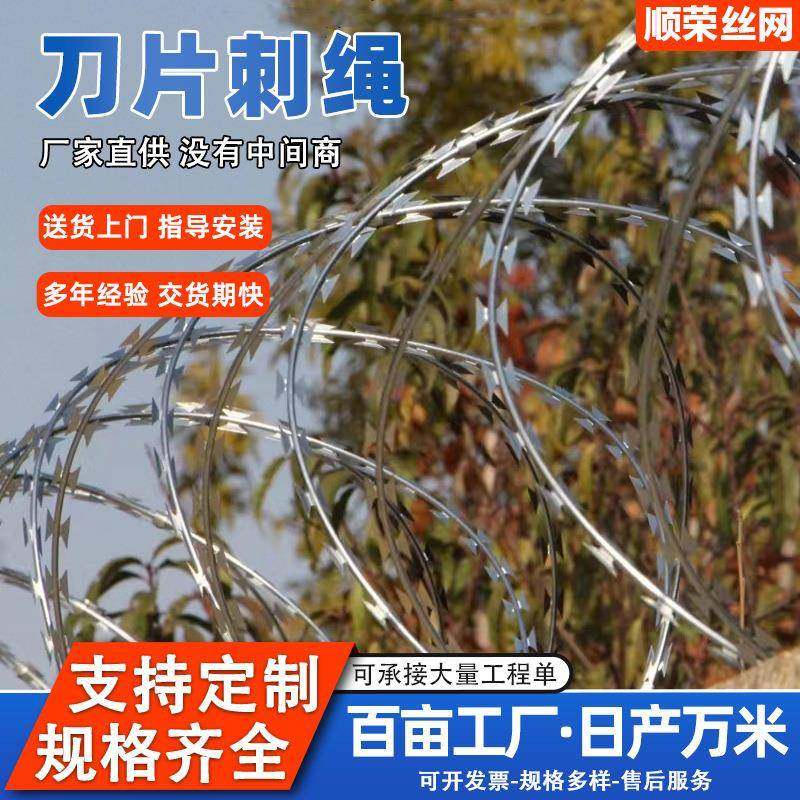 304不锈钢刀片刺绳果园农场机场监狱刺丝滚笼小区厂区防爬刺网