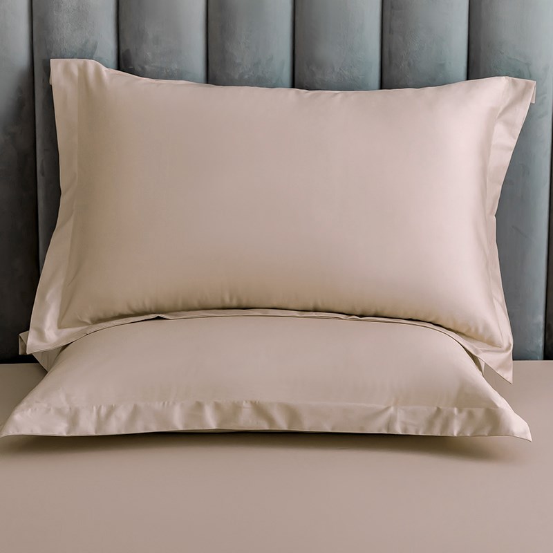 纯棉a类枕套100全棉一对装家用48x74cm单个枕头套2024年新款42x70