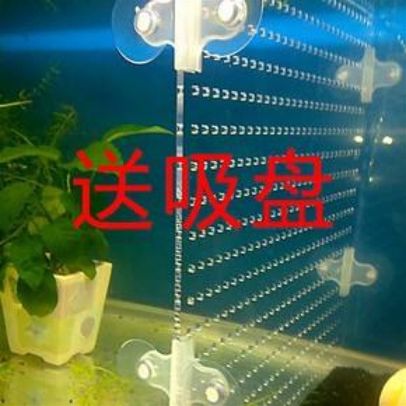 定制订做观赏热带鱼缸有机玻璃隔离挡板透明无异味亚克力塑料专用
