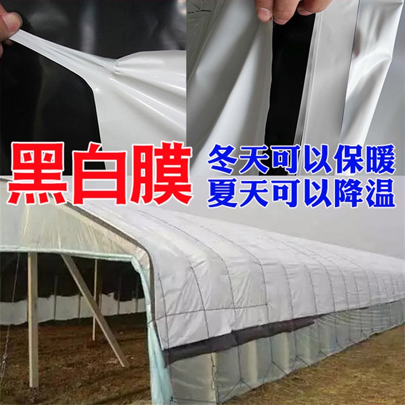 大棚膜消雾PO膜保温蔬菜无滴膜保温透明塑料薄膜布加厚养殖黑白膜