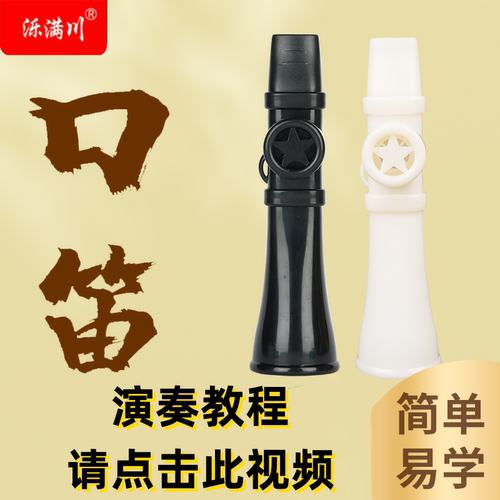 泺满川口笛简单易学乐器
