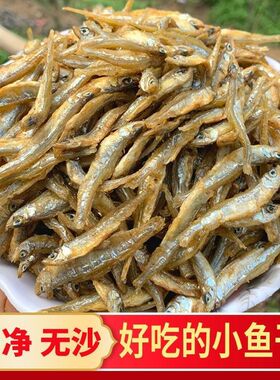 渔民自晒特产小鱼鱼干淡干公干海鲜银鱼干货海燕鱼白新货北海咸鱼