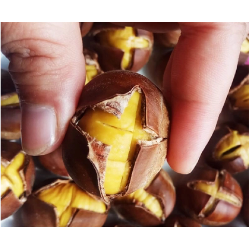 油栗2025年小毛栗子野生板栗新鲜现摘野山栗子1/2/4斤批发包邮