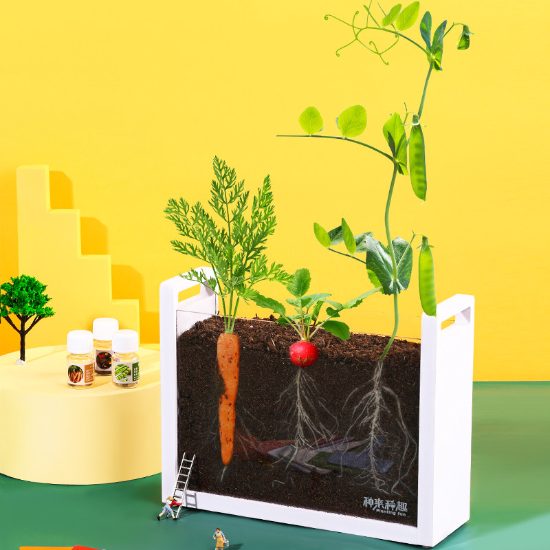 儿童植物根系生长观察窗幼儿园种植小盆栽套装DIY手工透明种菜箱