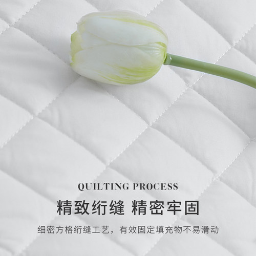 全棉床褥防螨床笠单件加厚夹棉纯棉床垫罩套防滑固定席梦思保护套