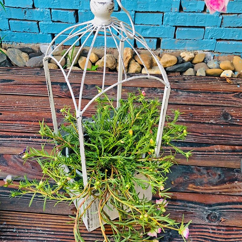 户外铁艺吊篮悬挂复古花架阳台庭院花园垂吊装饰花器吊挂吊兰花盆,鲜花速递/花卉仿真/绿植园艺,花架,淘宝优惠券,粉丝福利购,淘宝优惠卷