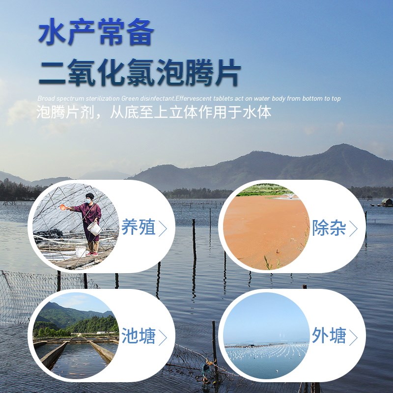 二氧化氯泡腾片水产养殖专用鱼药小龙虾蟹池塘水库鱼塘杀菌消毒剂