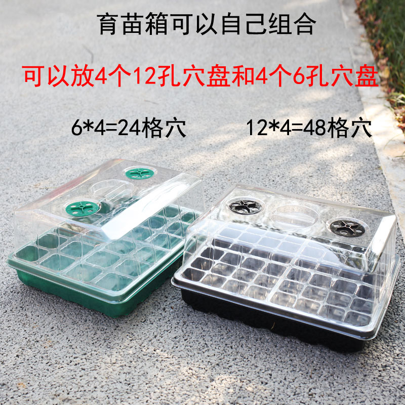 家庭园艺育苗箱大号高盖24孔48孔穴盘多肉扦插植物播种育苗闷养盒