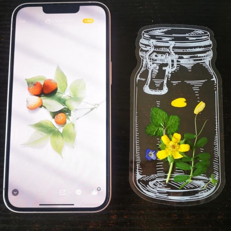 干花书签收集秋天手工DIY透明贴纸树叶书签JT