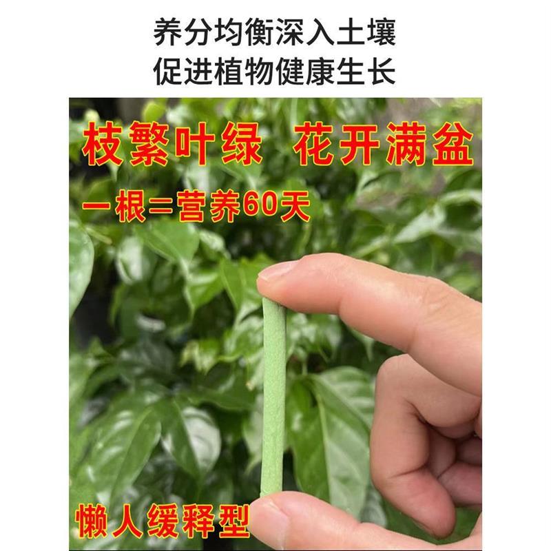家里的绿植枯黄不开花掉叶烂根用植物缓释营养棒盆栽肥料