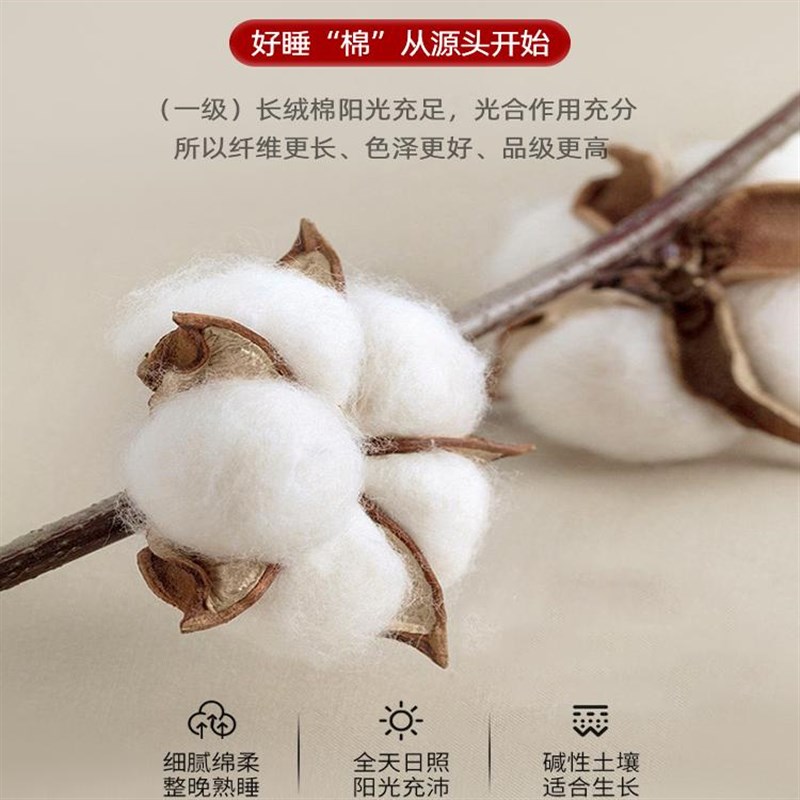 新疆棉花床垫家用软垫卧室褥子学生宿舍单人榻榻米租房床褥垫