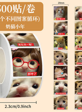 2000贴奶猫小年表情包装饰贴纸