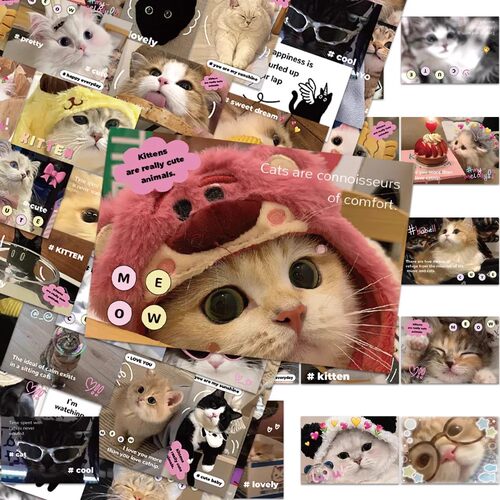 可爱小猫咪贴纸ins风高颜值