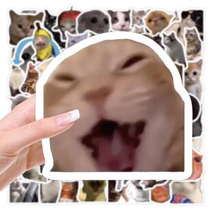 700张猫meme贴纸网络猫咪表情包搞怪抽象梗图diy装饰手账素材贴画