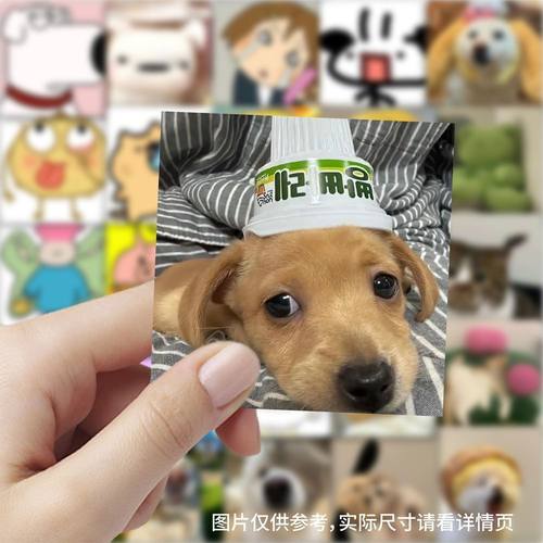 可爱头像搞笑卡通表情贴纸