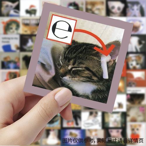 新款搞怪猫咪表情贴纸可爱沙雕搞笑趣味梗图装饰贴画diy手账