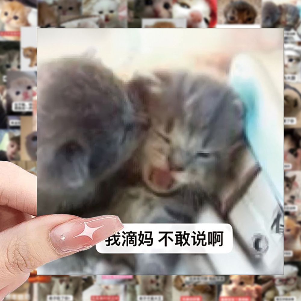 206张猫咪表情包贴纸创意抽象沙雕可爱趣味diy手机手账本防水贴画