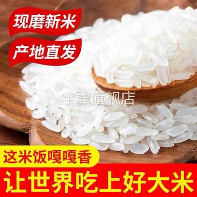 2024年新米五常大米东北长粒大米稻花香米5kg10kg长粒香20斤10斤
