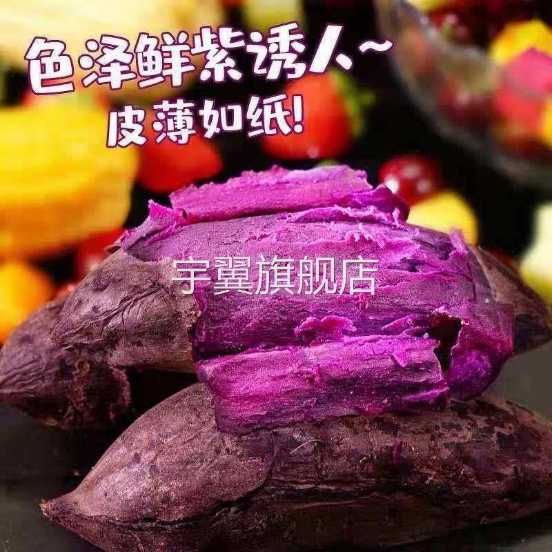 正宗沙地紫罗兰紫薯现挖新鲜农家自种地瓜小番薯红薯粉糯香甜
