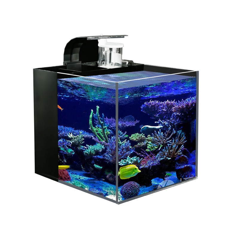 亚克力鱼缸超g白客厅海水套背滤自循环桌面免换水族箱小型海鱼缸