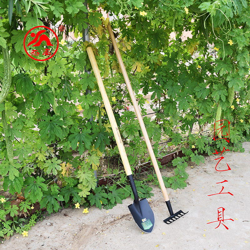 燕南制锹 园艺耙子 园艺铲子 锰钢铲 植树锹 长柄秀秀铲 园艺工具
