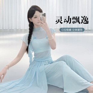 古典舞练功服女夏季短袖纱衣中国舞芭蕾舞修身身韵飘逸形体服套装
