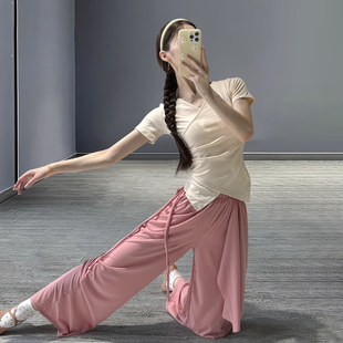 成人艺考套装 现代舞练功服女新款 中国舞形体服古典舞蹈服v领短袖