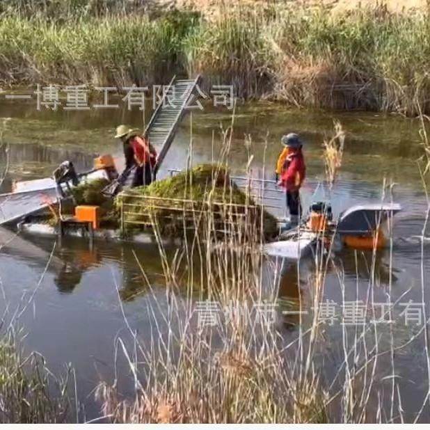 设计合理操作简单池塘虾蟹田水草收割机城市河道简易割草船,机械设备,矿山专用设备,淘宝优惠券,粉丝福利购,淘宝优惠卷